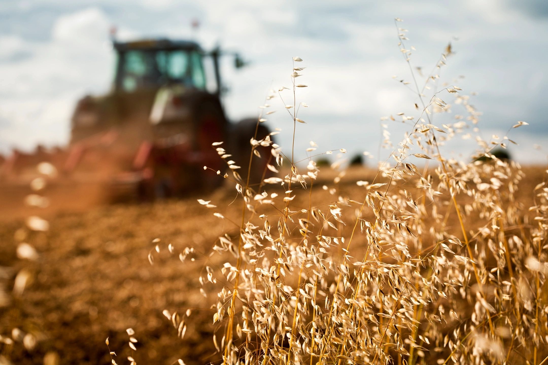 Financing Farmland Without 50% Down in Alberta