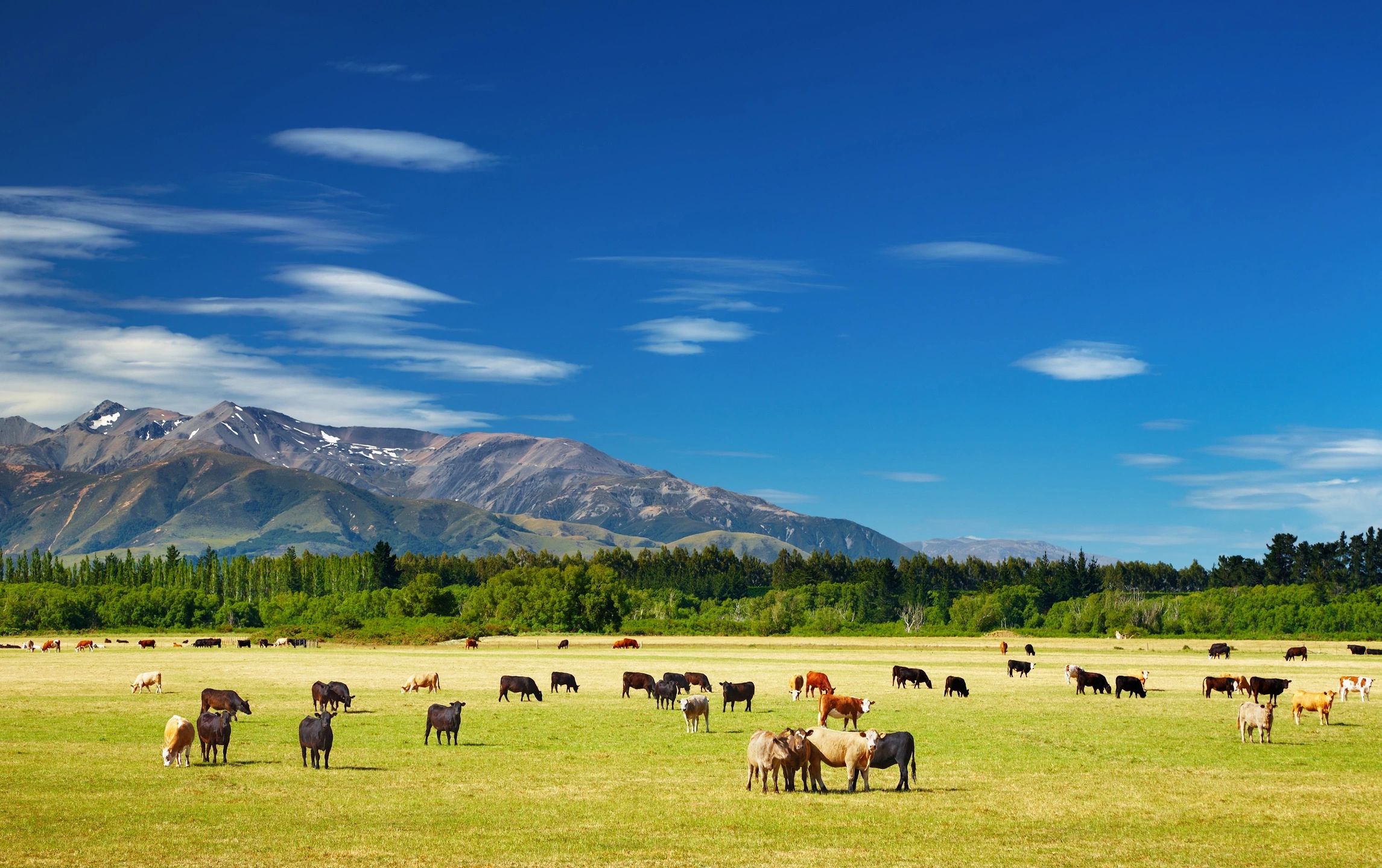 Private Farm Financing in Alberta: Options When Banks Say No